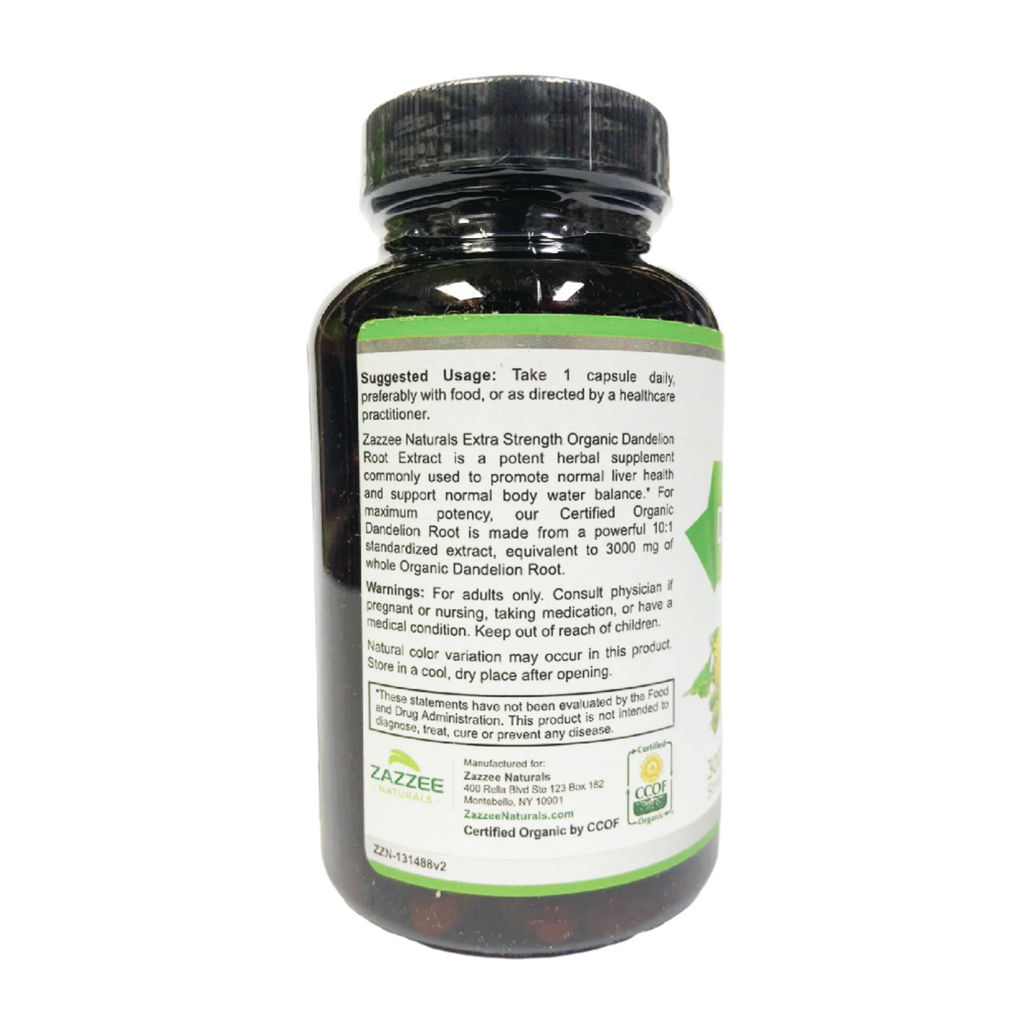 Zazzee Dandelion Root 10:1 Extract Extra Strength
